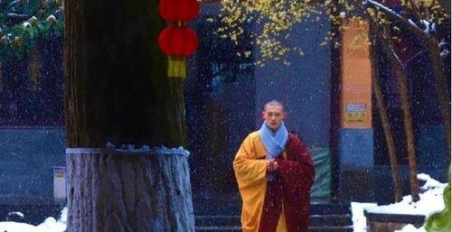 持善法师爆料视频,视频爆料背后的惊人真相  第2张